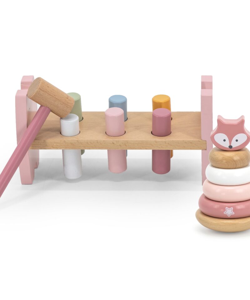 Arendav mänguasi püramiid ja toksimäng