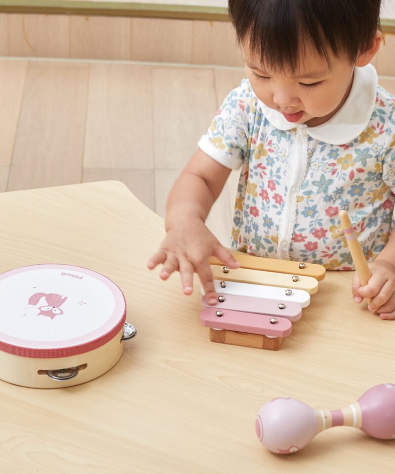 Tamburiin, ksülofon ja marakas komplektis