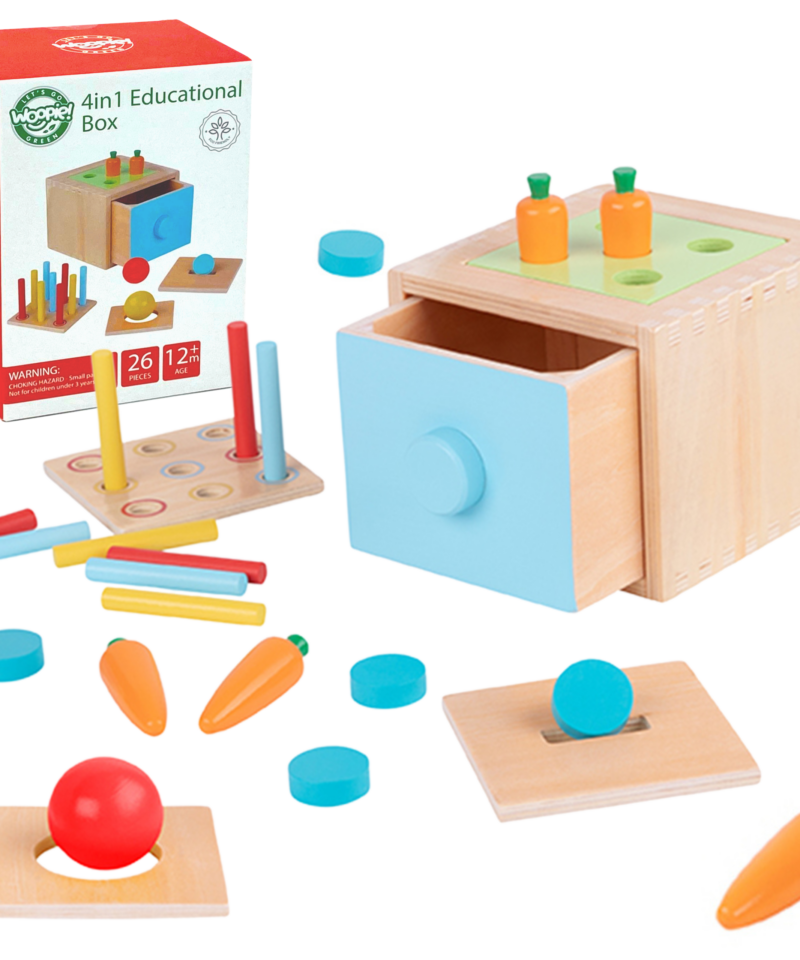 Mitmekülgne Montessori Õppekarp lastele