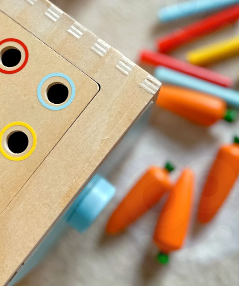 Montessori õppekarp koos värviliste osadega