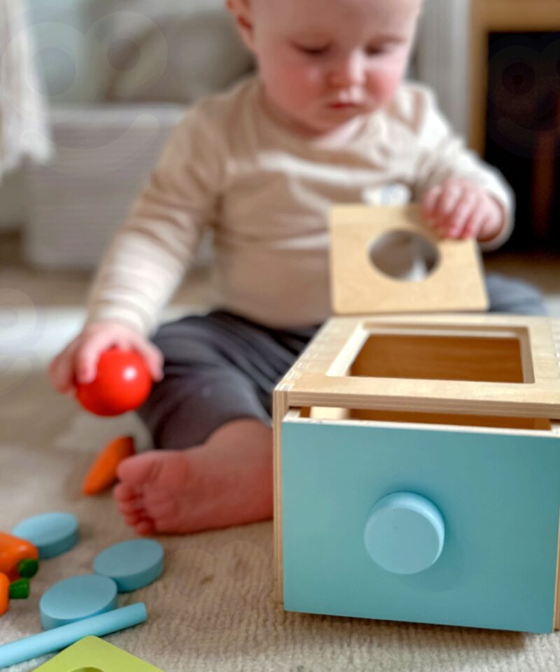 Arendav mänguasi väikelastele