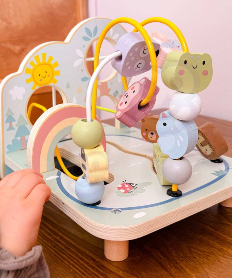 Arendav puidust mänguasi lastele