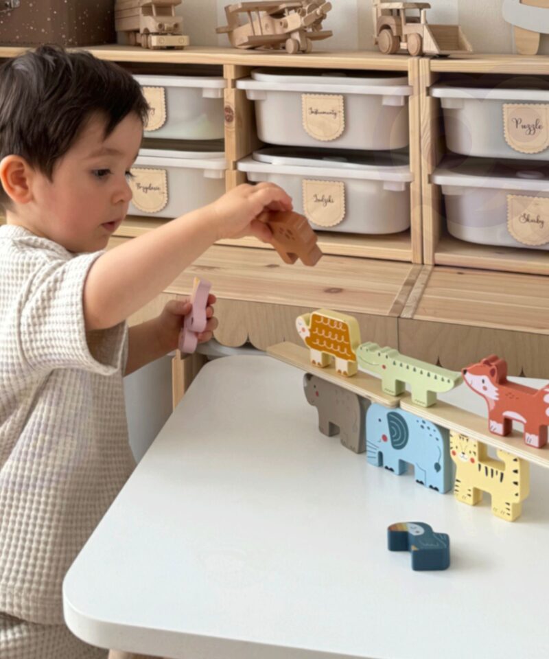 9 loomakujulist klotsi komplektis