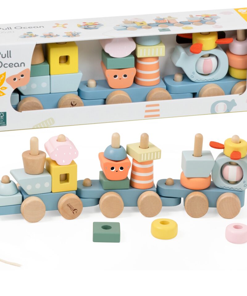 Puidust Montessori Ookeani Rongikomplekt mänguasi