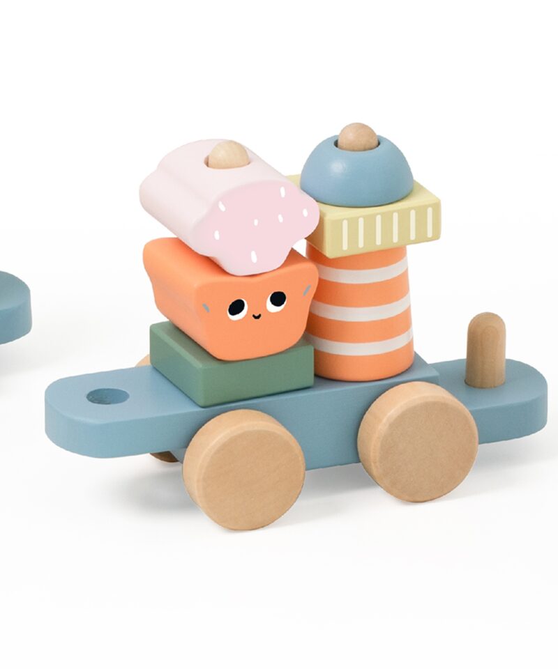 Montessori rongikomplekt puidust