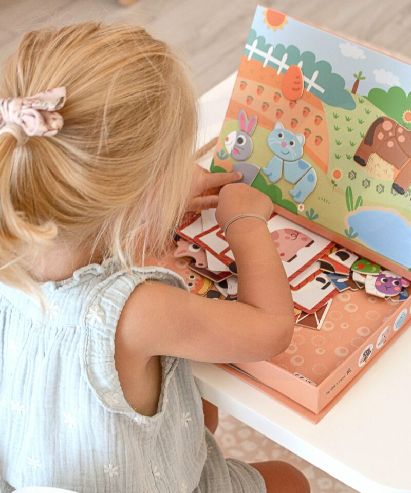 Magnetilised elemendid pusles