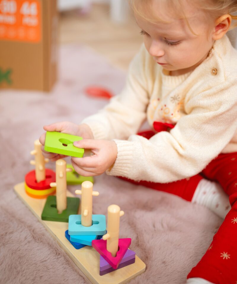 Montessori kast erinevate kujundite ja värvide õppimiseks