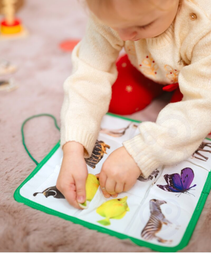 Montessori kast erinevate kujundite ja värvide õppimiseks