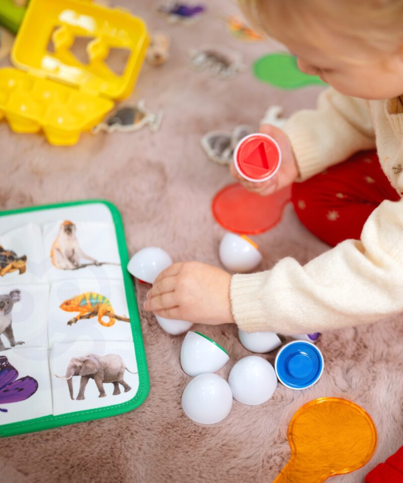 Montessori kast erinevate kujundite ja värvide õppimiseks