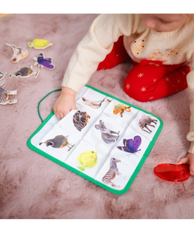 Montessori kast erinevate kujundite ja värvide õppimiseks