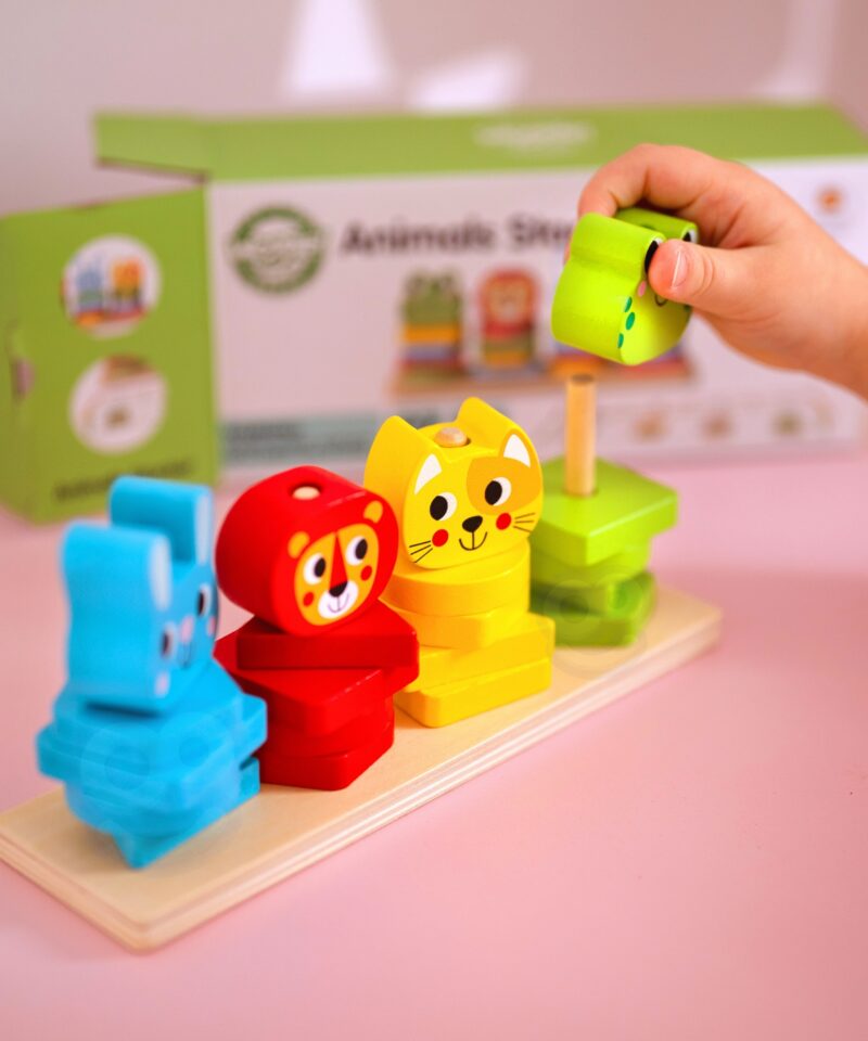 Värvilised klotsid ja loomad