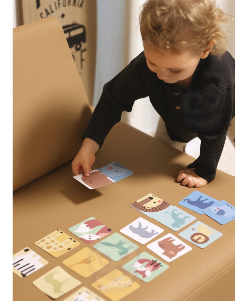 Arendav osavusmäng puidust elementidega