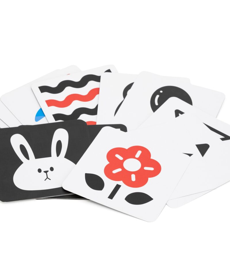 Komplekt beebide arendamiseks