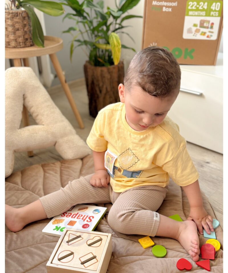 Didaktilised mänguasjad lastele