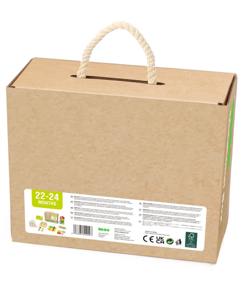 Didaktilised mänguasjad lastele