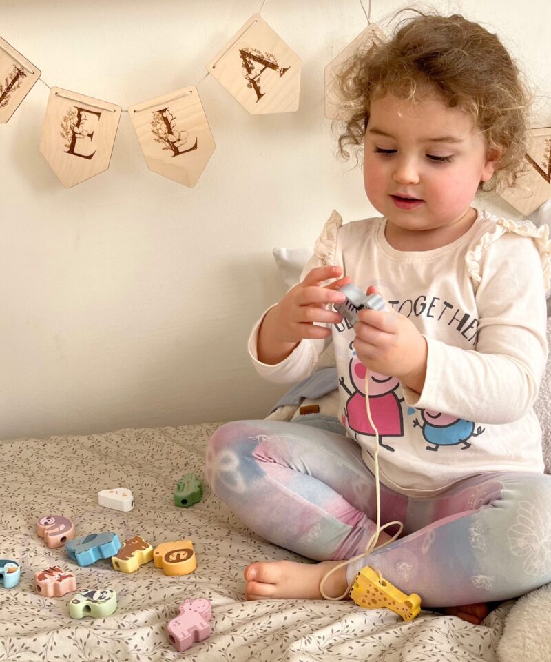 Mittetoksiliste värvidega värvitud loomakesed