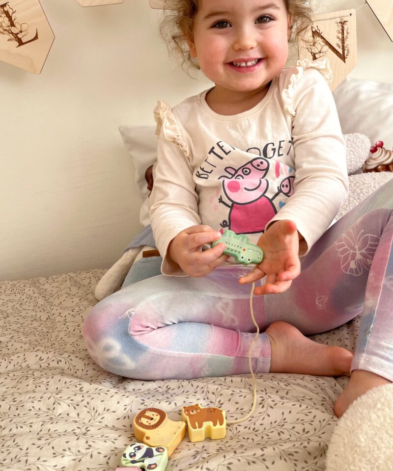 Mittetoksiliste värvidega värvitud loomakesed