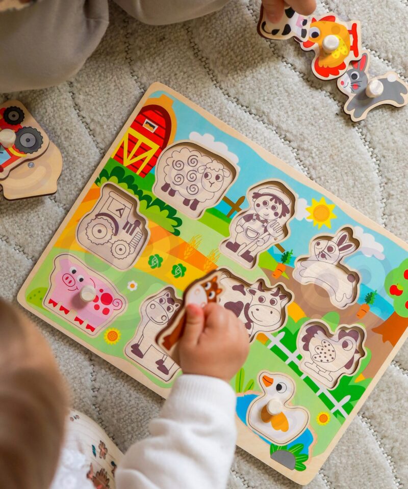 Montessori pusle peenmotoorika arendamiseks