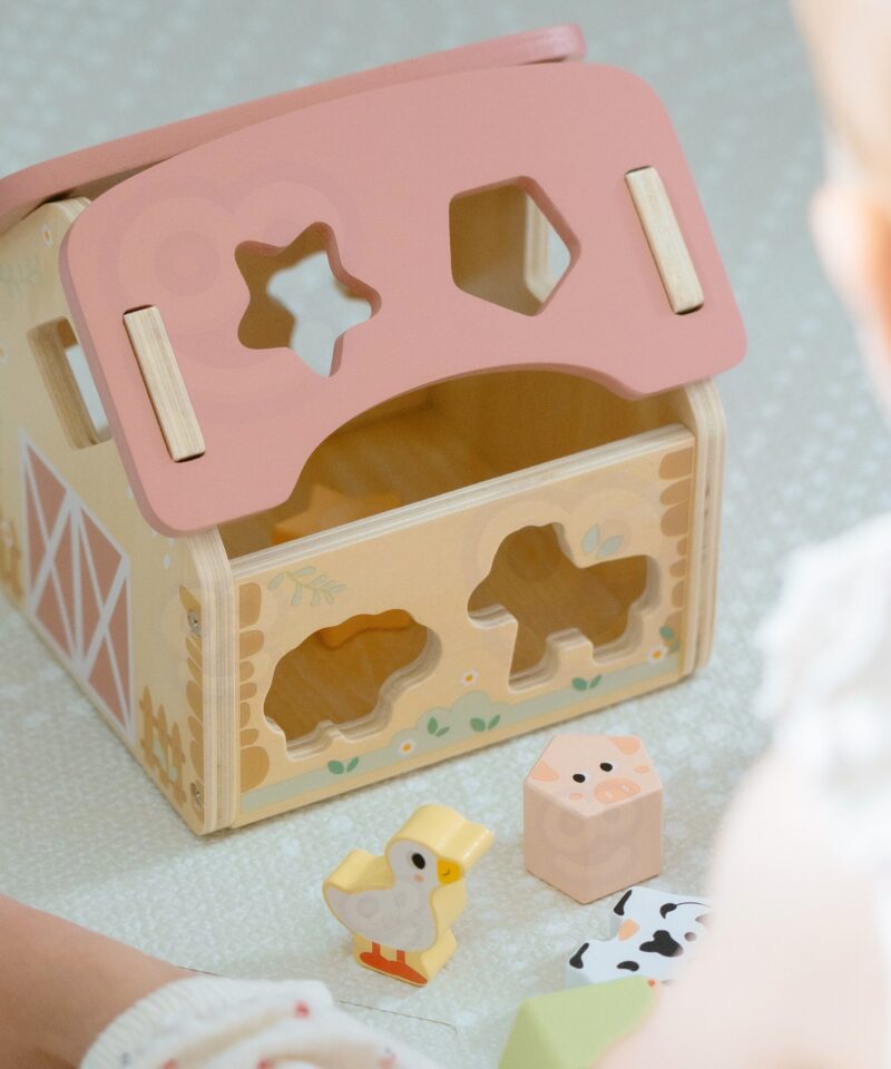 Hariv mänguasi alates 18. elukuust