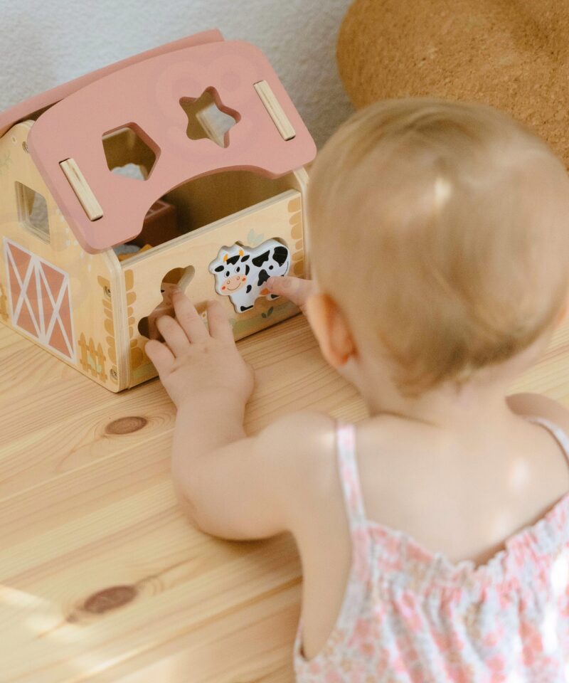 Eemaldatav katus ja mugav käepide