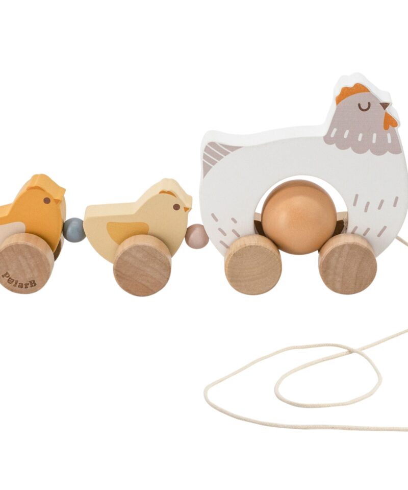 Looduslikust puidust mänguasi lastele