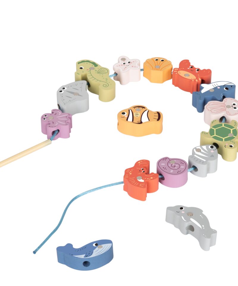 Hariv ja loovust arendav komplekt