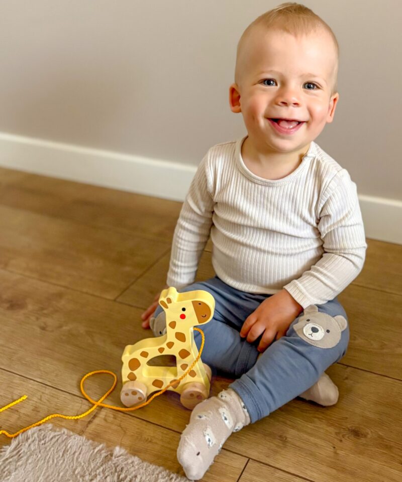 FSC sertifikaadiga puidust mänguasi