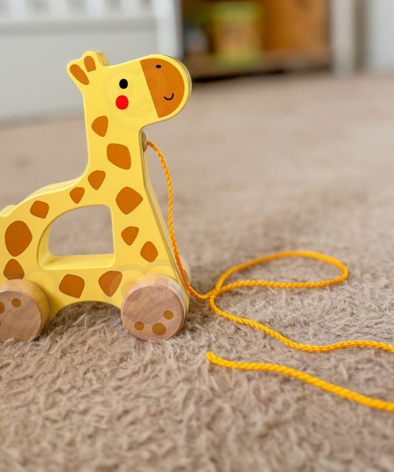 Motoorikat arendav kaelkirjak