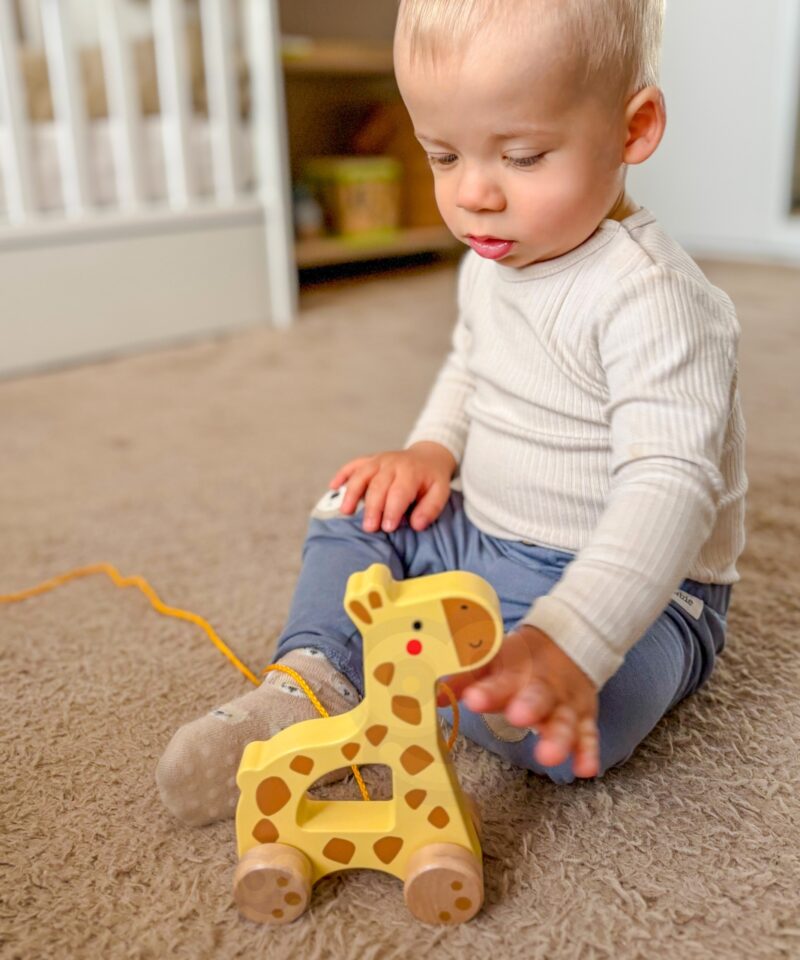 Ohutu ja lõbus tõmmatav mänguasi