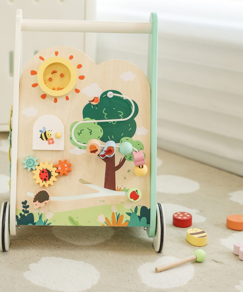 Arendav käimistugi lastele alates 12. elukuust