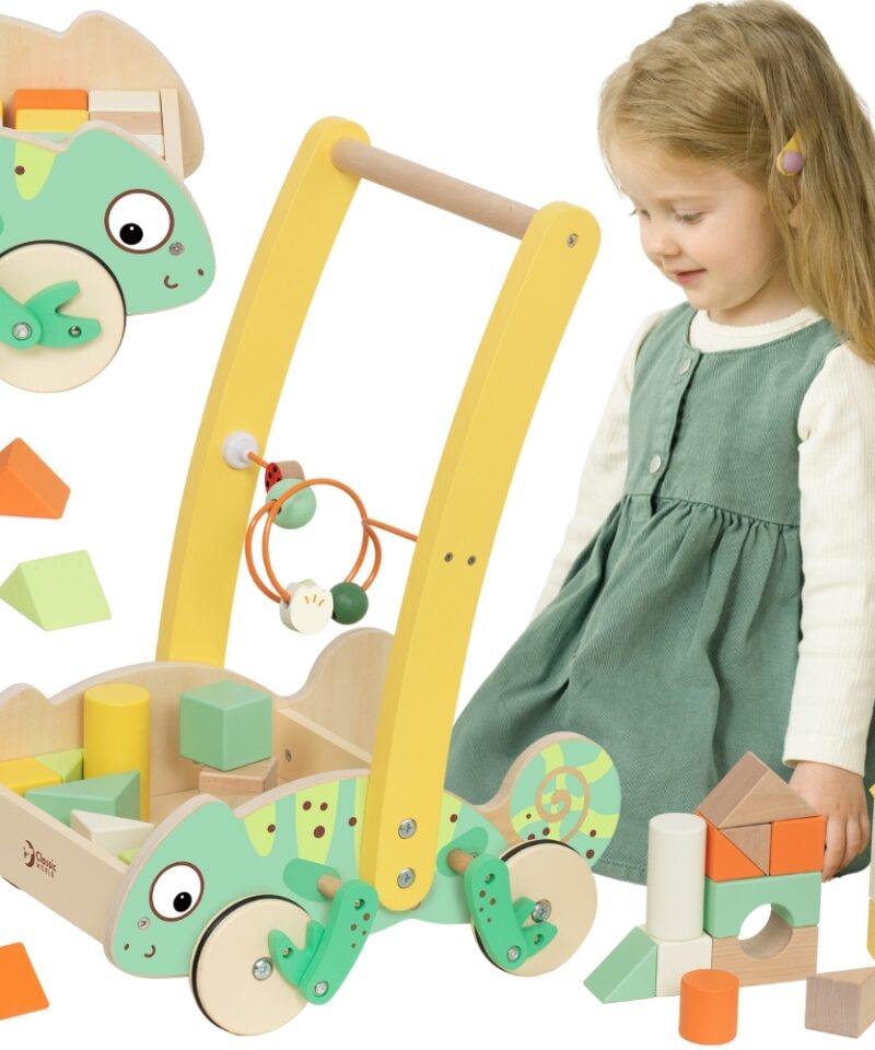 Puidust käimistugi koos kameeleoniga