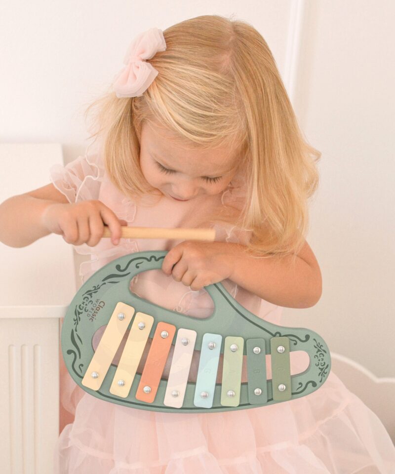 Loovust toetav muusikariistade komplekt