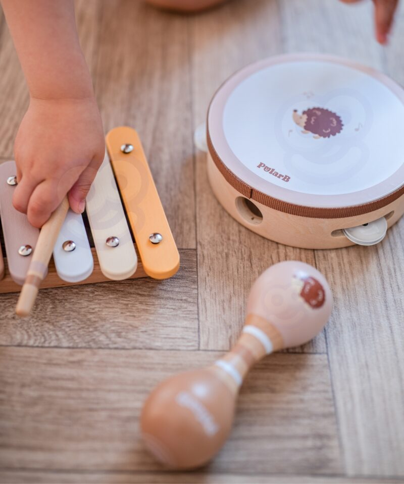 Lastele sobiv muusikariistade komplekt