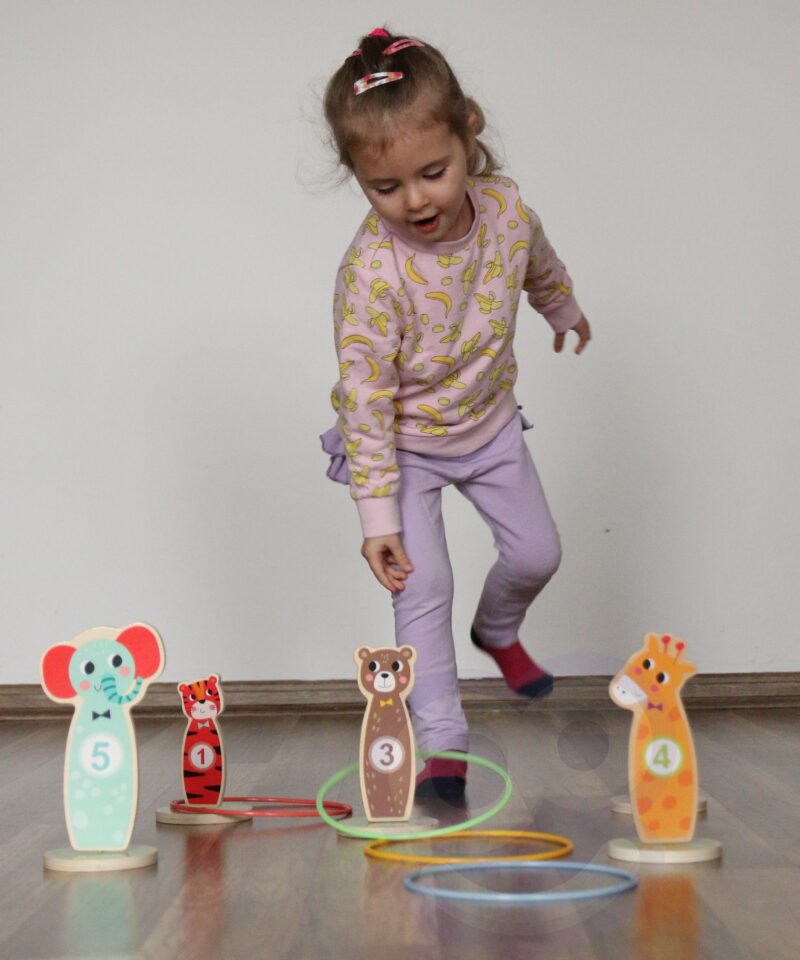 Osavusmäng viskerõngastega