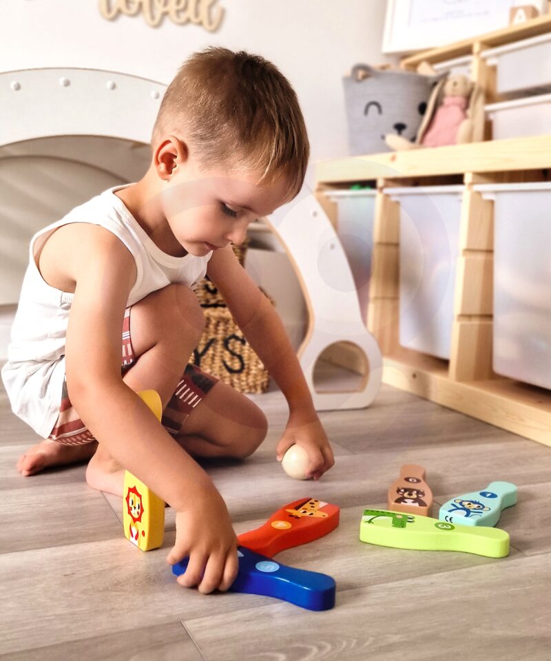 Keeglikomplekt loomapiltidega