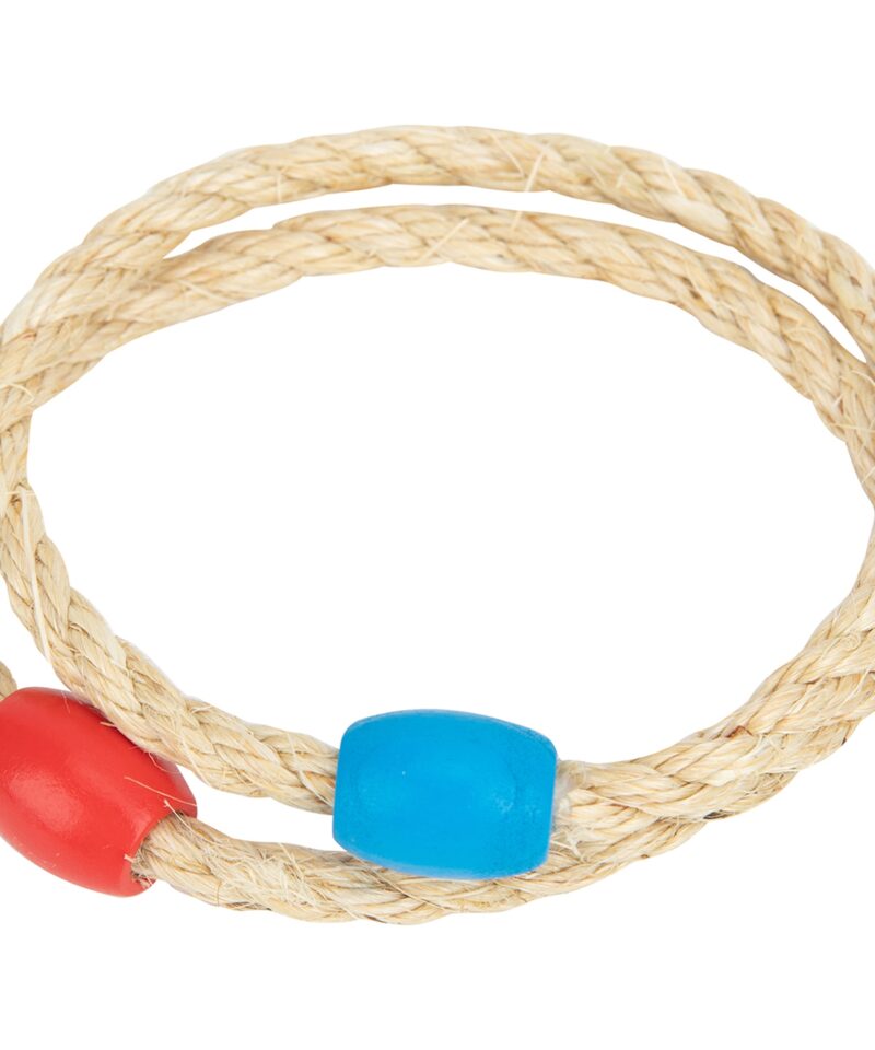 Lõbus ja hariv rõngavise kogu perele