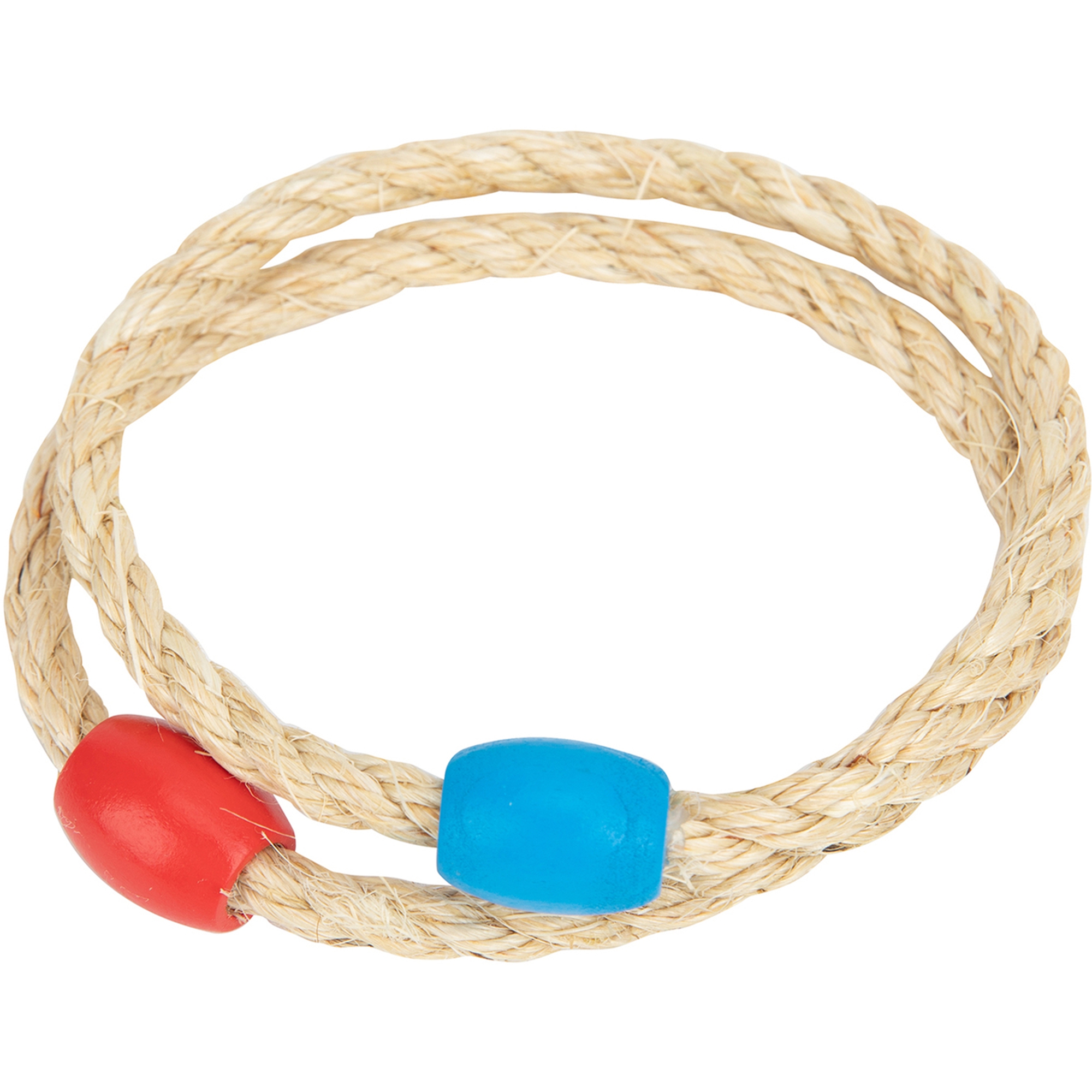 Lõbus ja hariv rõngavise kogu perele