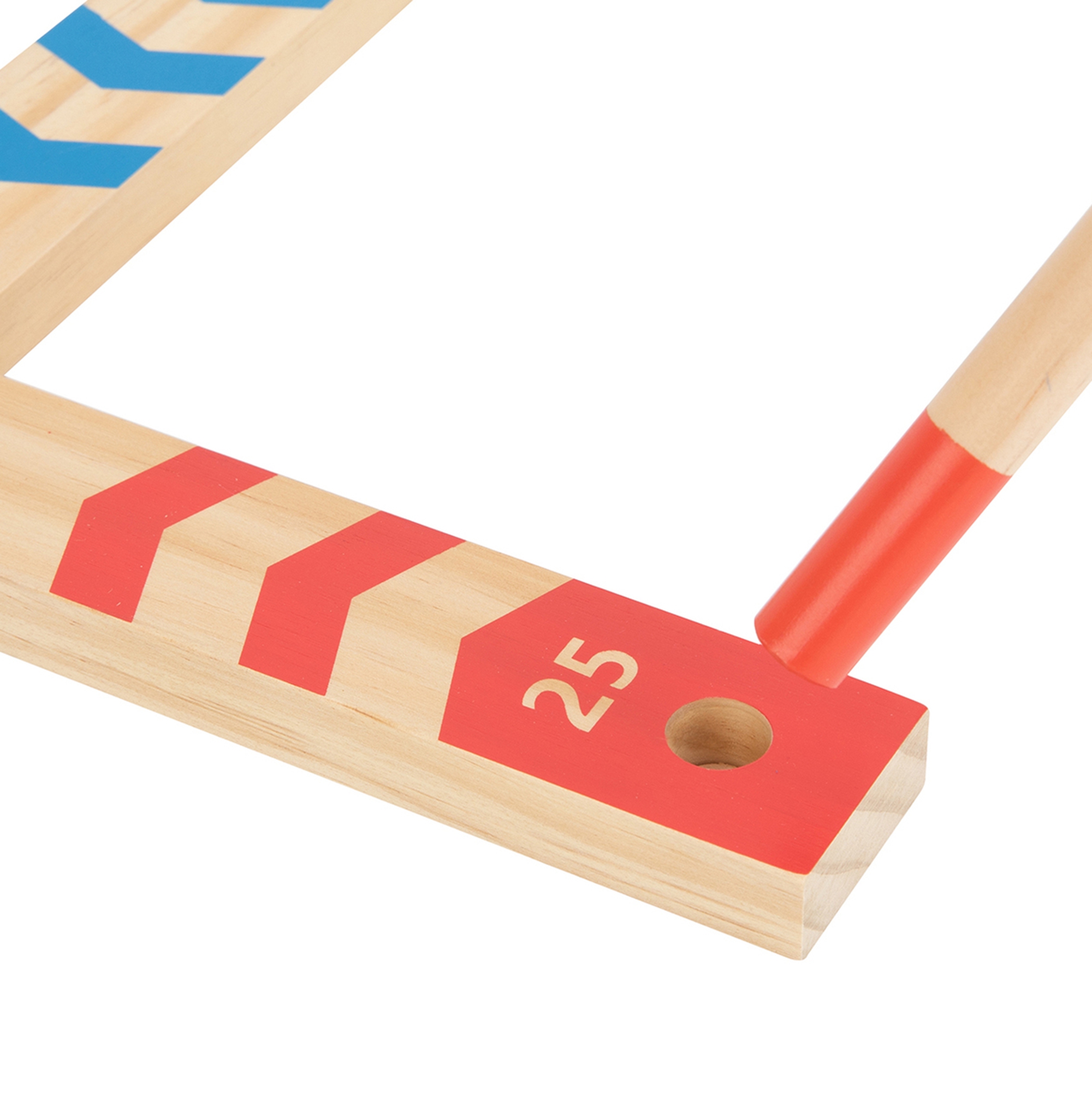 Lõbus ja hariv rõngavise kogu perele