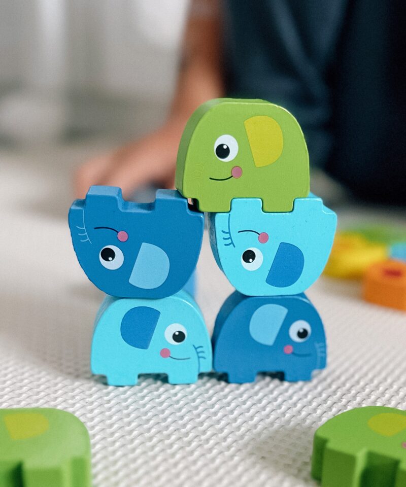 Lõbus ja hariv mäng kogu perele