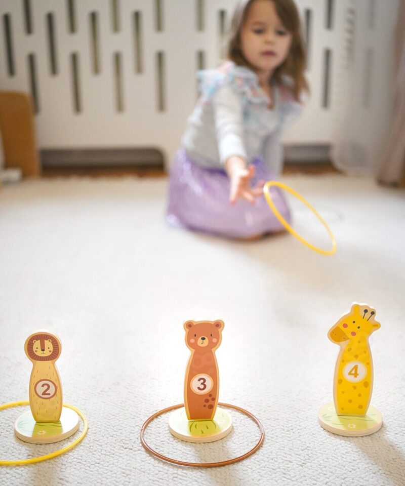 Loomadega mängukomplekt