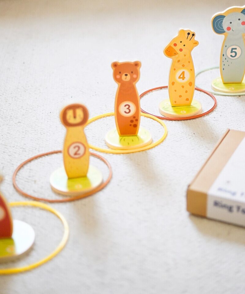 Täpsusviskemäng siseruumides