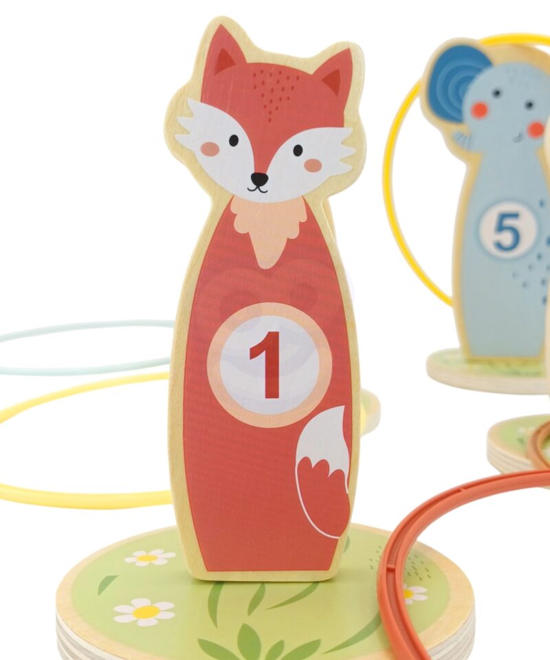 Täpsusviskemäng õues