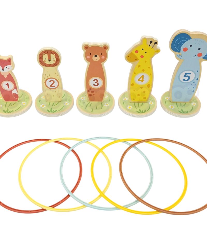 Täpsusviskemäng õues