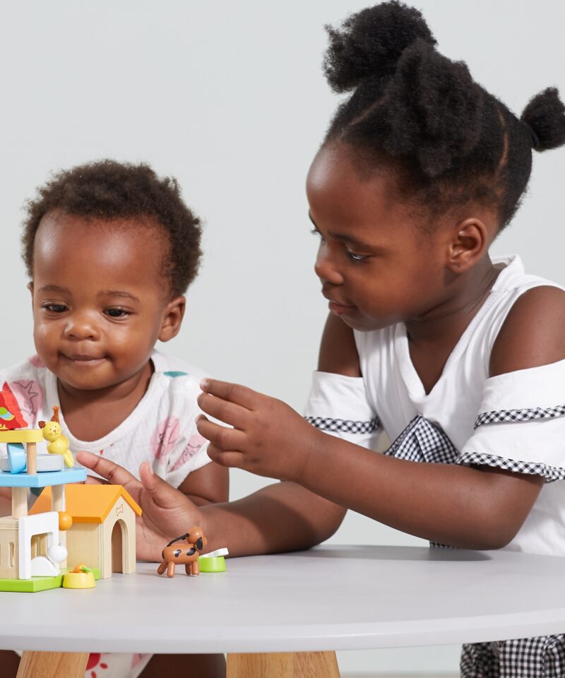 Kass ja sõbrad puidust mänguväljakul