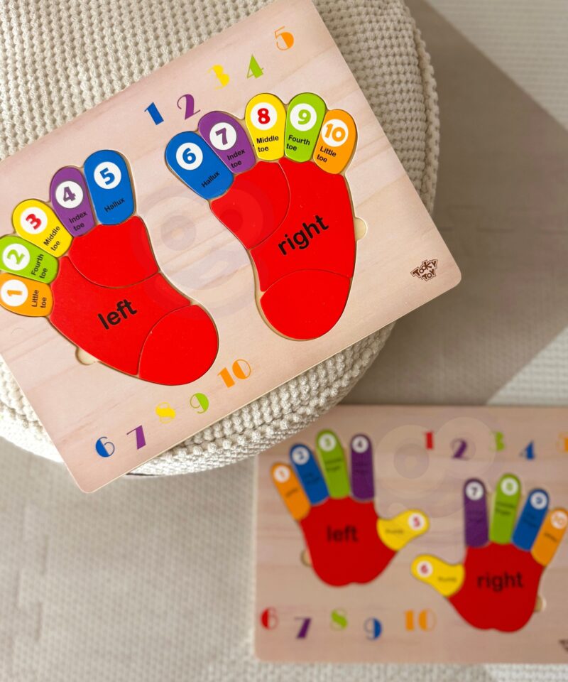 Õpetab värvide ja suundade eristamist