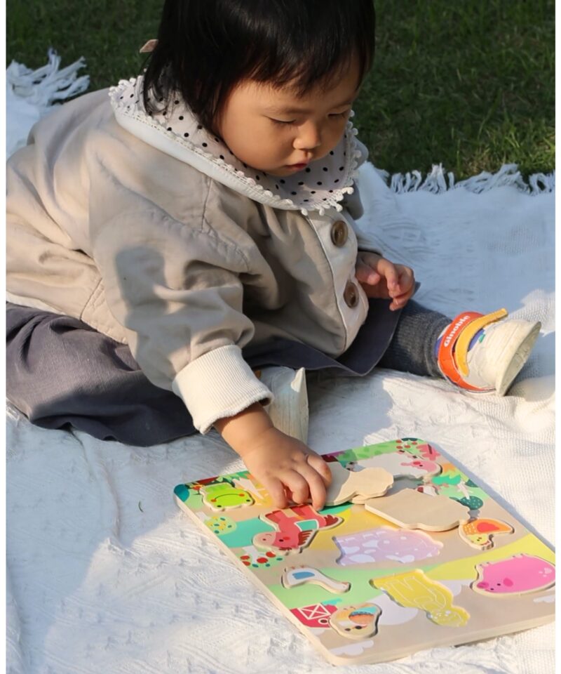 Montessori meetodiga farmipusle