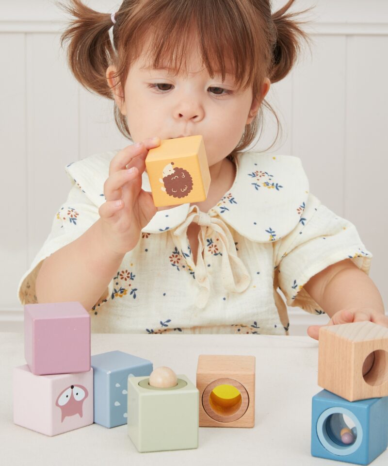 Klotsid, mis toetavad arengut