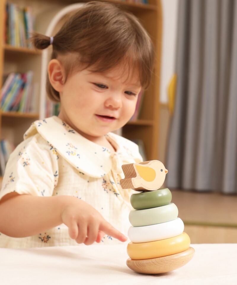 Hariv mänguasi lastele alates 12 kuust