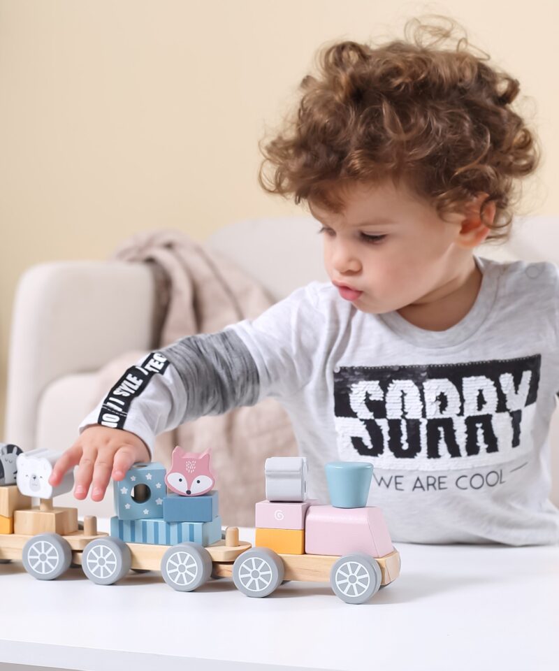 Lastele mõeldud puidust rongikomplekt