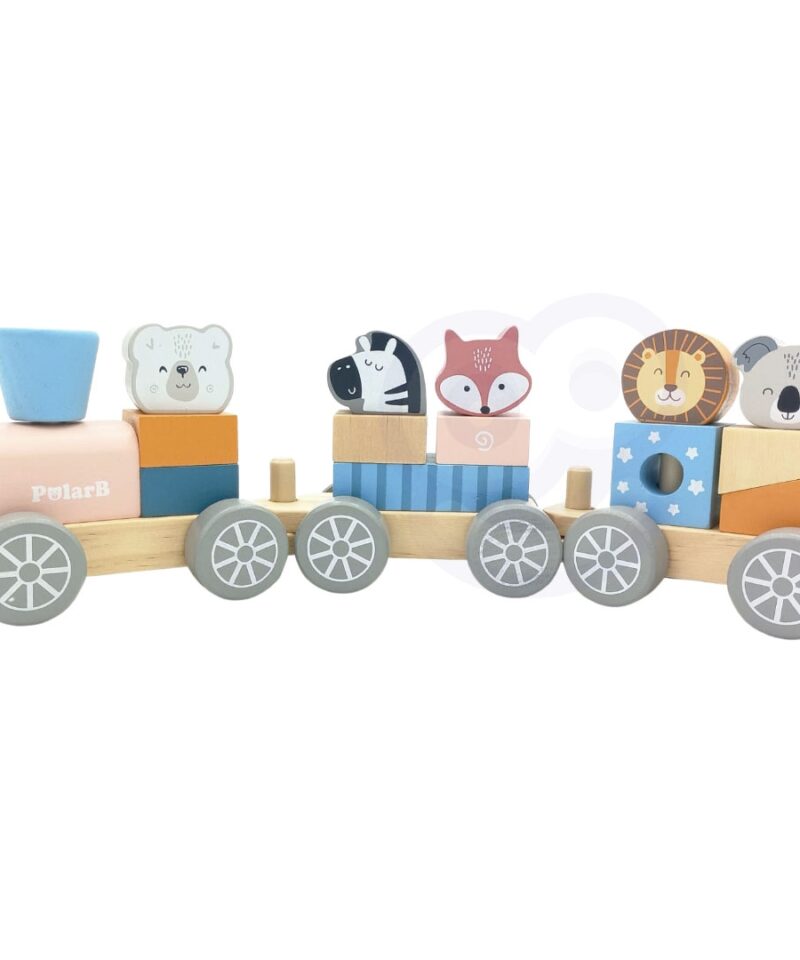 Montessori stiilis rongikomplekt